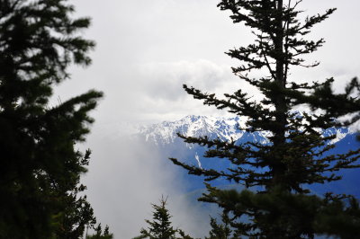 DSC_4764.jpg