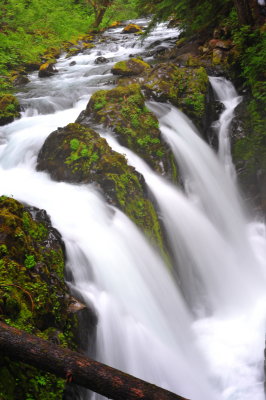 DSC_4898.jpg