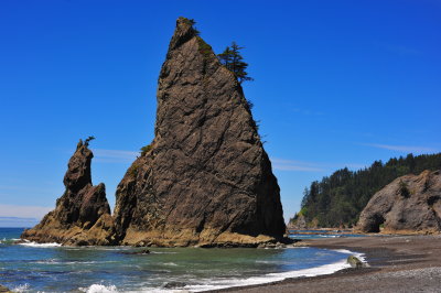 DSC_4962.jpg