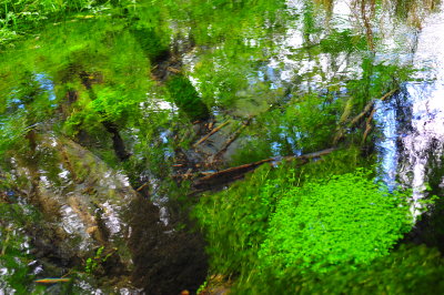 DSC_4998.jpg