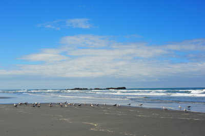 DSC_5092.jpg
