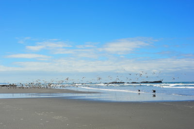DSC_5130.jpg