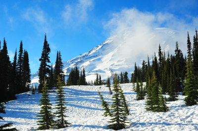 DSC_5198.jpg
