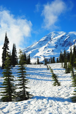 DSC_5205.jpg