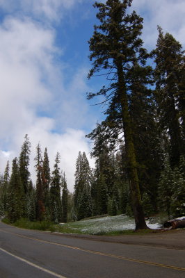 DSC_0335.jpg