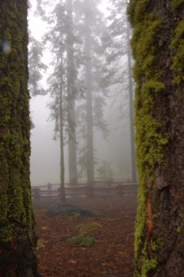 DSC_0374.jpg