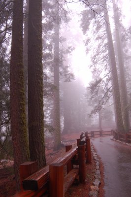 DSC_0418.jpg