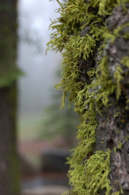 DSC_0432.jpg
