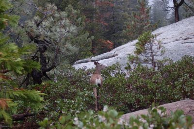 DSC_0452.JPG