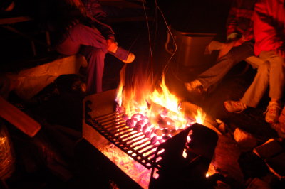 DSC_0504.JPG