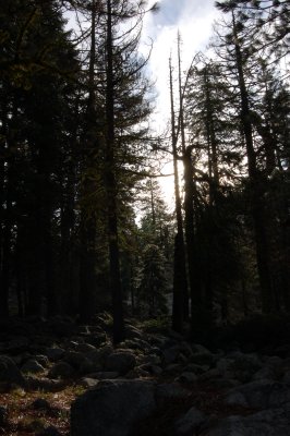 DSC_0519.jpg