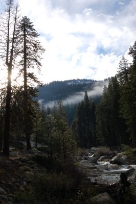 DSC_0522.jpg