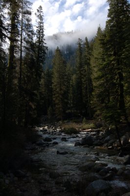 DSC_0532.jpg