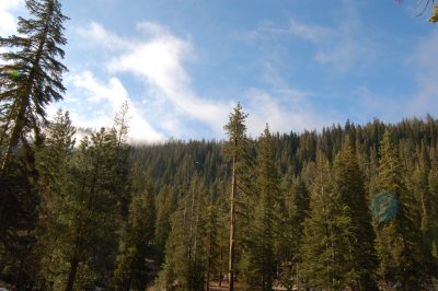 DSC_0536.JPG