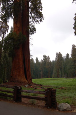 DSC_0545.jpg