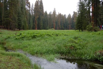 DSC_0555.JPG