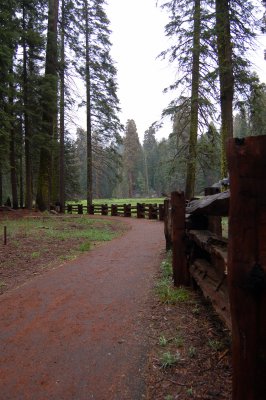 DSC_0571.jpg