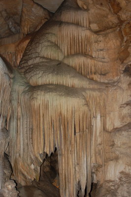 DSC_0581.jpg