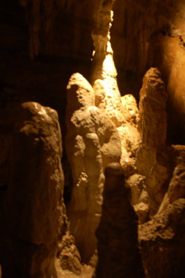 DSC_0603.jpg