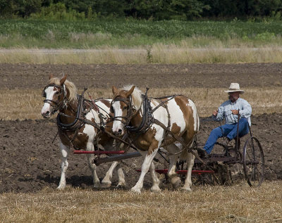 The Plowing 2008