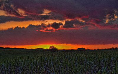 Red/yellow/orange/blue/purple sky over a Nebraska corn field