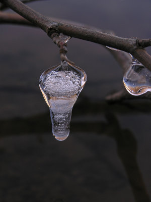 wIce-T P1010047.jpg