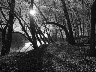 tPicture 005 bw.jpg
