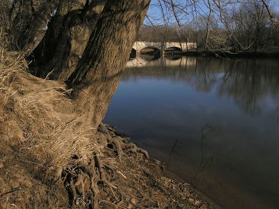 tPicture 006.jpg