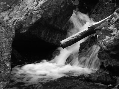 wHC5 P3018070 bw.jpg