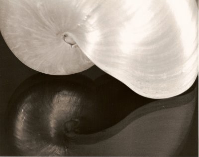 scan0006.jpg