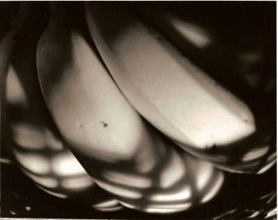 scan0008.jpg