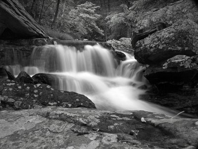wHunting Creek10 May 31 bw P5312062.jpg