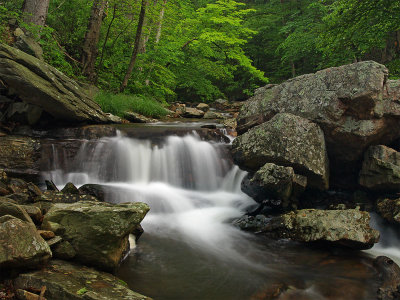 wHunting Creek16 5-31-08 P5312105.jpg