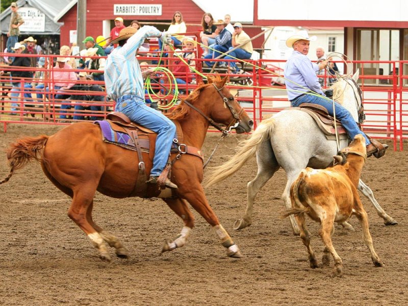 Team Roping