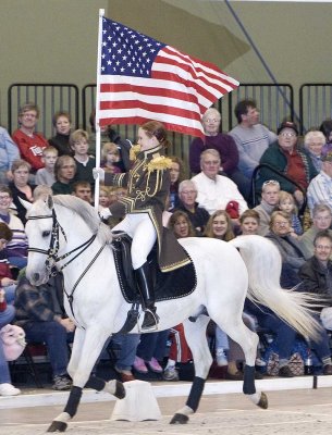 Lipizzaner Stallions 2008