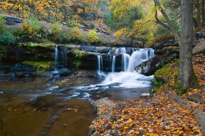 West Virginia, fall 2008