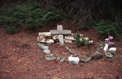 Image30.jpg