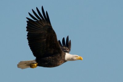 g1/54/492054/3/108000608.iAW82Lzm.jpg