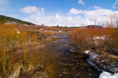 g1/54/492054/3/98138440.YqeGBIkR.jpg