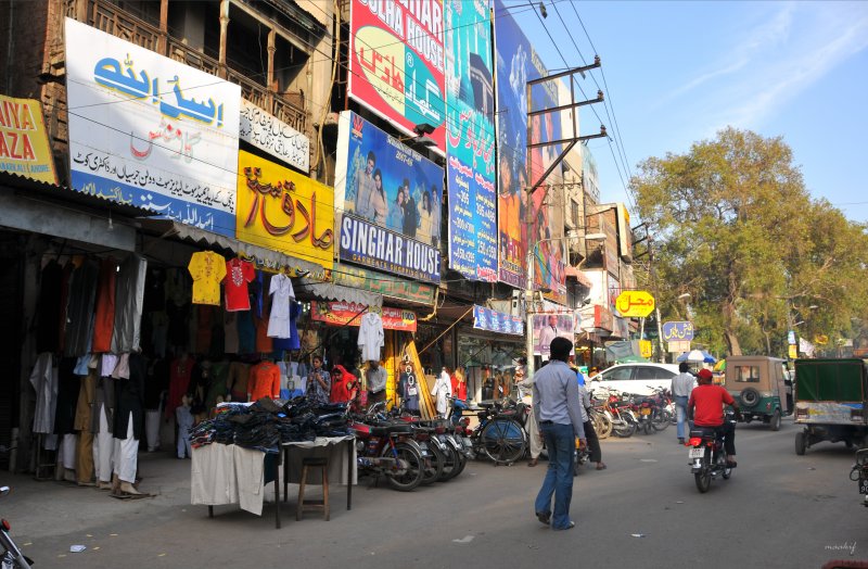 Street Scene -  famous Singhar house