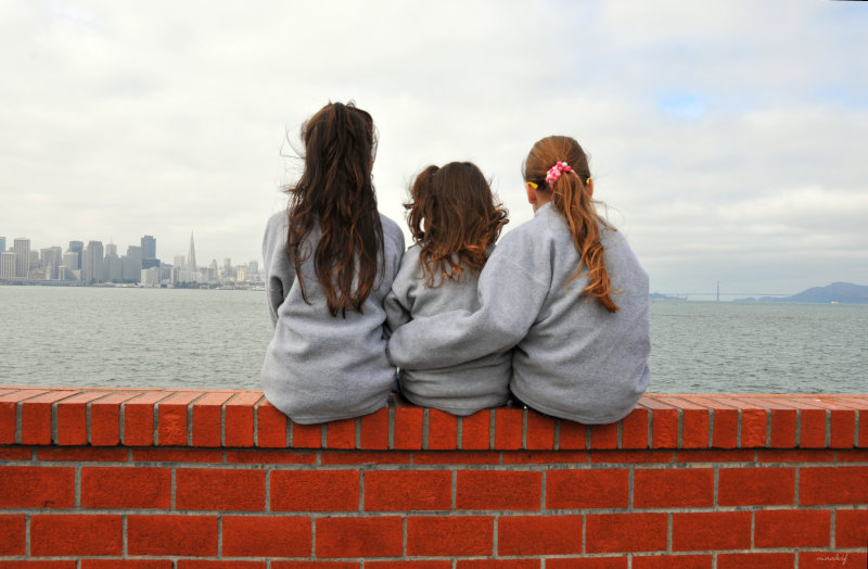 San Francisco Skyline