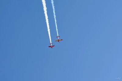 g1/54/503354/3/105282293.EznpL5fI.jpg