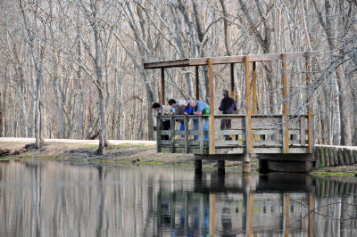 Brazos Bend - Elm Lake Loop Trail