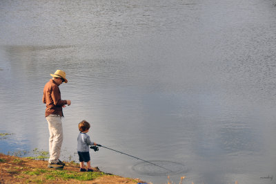 Brazos Bend State Park - Horseshoe Lake