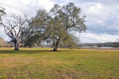 Brazos Bend State Park
