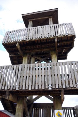 Brazos Bend State Park - Observation Tower