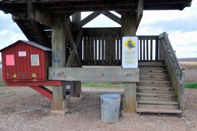 Brazos Bend State Park - Observation Tower