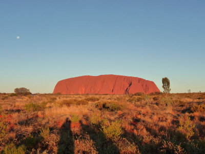Outback118.jpg
