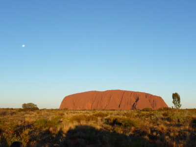 Outback133.jpg