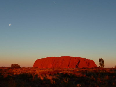 The Outback